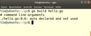 Abbildung 3: Der Go-Compiler verweigert die Arbeit, wenn eine Variable zwar definiert ist, Sie diese aber ansonsten nicht nutzen.