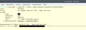 Abbildung 3: Beim Download akzeptieren Sie entweder den Standard oder geben das gew&uuml;nschte Format per Itag an.