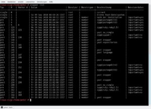Abbildung 3: Die OpenSuse-Dokumentation empfiehlt das Snapper-YaST-Modul zum Wiederherstellen einzelner Dateien, f&uuml;r die R&uuml;ckkehr zu einem fr&uuml;heren Zustand des gesamten Systems dagegen das Kommandozeilen-Tool Snapper.