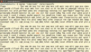 Abbildung 3: Hier unterstützt ein Intel-Prozessor die VT-x-Technologie, die zudem unter diesem Ubuntu-System im Einsatz ist. Letzteres belegt das zwei Mal auftauchende Kürzel <code>vmx</code>.
