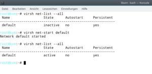 Abbildung 3: Nicht immer ist die virtuelle Netzwerkkarte von Hause aus aktiv. Dann hilft das Virsh-Kommando <code>net-start default</code> dabei, sie in Betrieb zu nehmen.