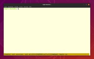 Abbildung 2: Nach dem Start der Anwendung zeigt diese am unteren Rand des Terminals eine zuf&auml;llig erstellte SSH-ID.
