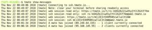Abbildung 3: Mit dem Befehl <code>tmate show-messages</code> zeigt das Programm die (nur f&uuml;r diese Sitzung g&uuml;ltigen) SSH-IDs und URLs sowie die Logs der laufenden Anwendung an.