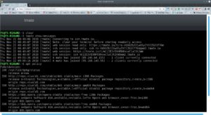 Abbildung 4: Tmate funktioniert nicht nur im Terminal, sondern auch im Webbrowser. Das gilt auch dann, wenn Sie Tmate selbst hosten.