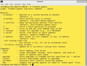 Abbildung 5: Die Aktualisierungsroutine von FreeBSD kennt zahlreiche Optionen.