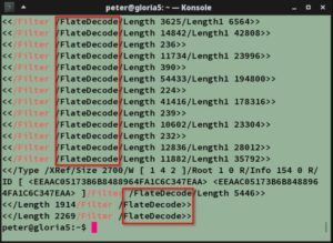 Abbildung 3: Unkomfortabel, aber zuverl&auml;ssig: Indem Sie das PDF mit Grep nach der Zeichenfolge <code>/Filter</code> durchsuchen, finden Sie schnell das eingesetzte Kompressionsverfahren heraus.