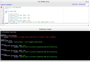Abbildung 3: &Uuml;berpr&uuml;fen eines Shell-Skripts im Browser.