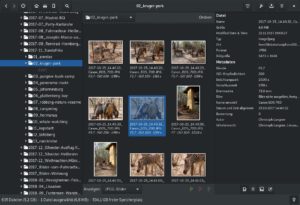 Abbildung 4: Gthumb z&auml;hlt zu den Urgesteinen des Gnome-Desktops. Das Alter sieht man dem Programm allerdings nicht an: Die Entwickler arbeiten stets an Neuerungen.