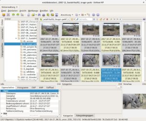 Abbildung 6: Freeware statt Open-Source: Xnview MP schlägt sich im Vergleich mit der Konkurrenz beeindruckend. Auch der Umgang mit RAW- und Sidecar-Dateien überzeugt.