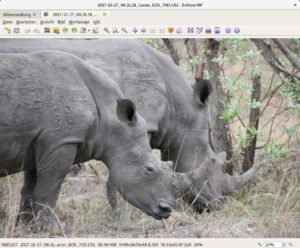 Abbildung 7: Xnview MP arbeitet mit Tabs. So lassen sich mehrere Bilder und Bildersammlungen bequem betrachten und organisieren.