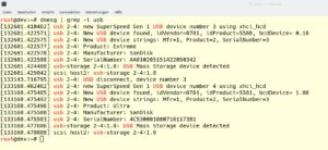 Abbildung 3: Dmesg dient zur Ausgabe der Meldungen des Kernel-Ringpuffers. Es gibt beim Anstecken eines Ger&auml;ts die verf&uuml;gbaren Informationen aus.