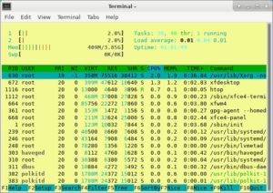 Abbildung 5: Mit Htop behalten Sie neben den laufenden Prozessen auch die Systemauslastung sowie den Speicherverbrauch des Live-Systems im Blick.