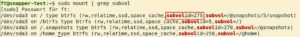 Abbildung 12: Nach einem Neustart in eine neues Standard-Subvolume zeigt der Befehl <code>mount | grep subvol</code> den Erfolg des Vorgangs.