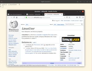 Abbildung 3: Genügt die Zusammenfassung nicht, öffnen Sie den gesamten Artikel in einem Browser. Dies darf selbst ein Text-Browser sein.