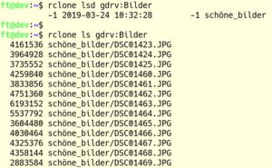 Abbildung 5: Handelt es sich um reine Daten, die Sie nicht visuell kontrollieren m&ouml;chten, f&auml;llt die Kontrolle im Terminal leichter als im Browser.
