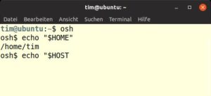 Abbildung 1: Dr&uuml;ckt man in der Osh an dieser Stelle auf [Tab], vervollst&auml;ndigt die Shell automatisch <code>$HOSTNAME</code>.