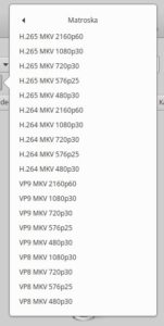 Abbildung 3: Vordefinierte Presets erlauben unter Handbrake die schnelle Anwahl der passenden Parameter.