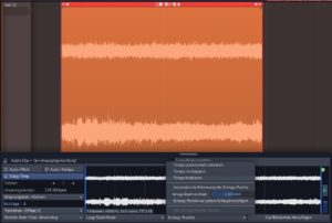 Abbildung 7: F&uuml;r jeden Audioclip berechnet Waveform automatisch dessen wahrscheinliches Tempo und rhythmische Akzente.