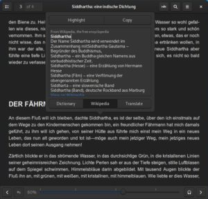 Abbildung 2: Zu markierten W&ouml;rtern und Abs&auml;tzen l&auml;dt Foliate Erkl&auml;rungen oder &Uuml;bersetzungen aus dem Internet.
