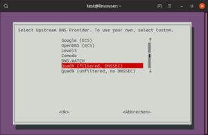 Abbildung 1: Pi-hole selbst braucht für die Namensauflösung einen DNS-Server. Das Installationsskript bringt eine Vorauswahl mit.
