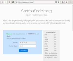 Abbildung 3: &Uuml;ber die Webseite Canyouseeme.org pr&uuml;fen Sie, ob die Port-Weiterleitung funktioniert. Beachten Sie, dass dabei auch der DSVPN-Server aktiv sein muss.
