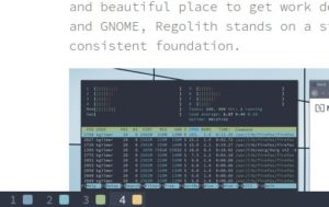 Abbildung 5: In der Fu&szlig;leiste informiert Regolith &uuml;ber die Anzahl der aktiven virtuellen Desktops. Um den Desktop zu wechseln, dr&uuml;cken Sie entweder [Super] plus die Zahl des gew&uuml;nschten Desktops, oder Sie zappen mit <span class="key-combo">[Super]+[Tab]</span> von Arbeitsfl&auml;che zu Arbeitsfl&auml;che.