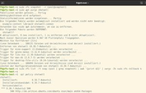 Abbildung 8: Ein nach dem Snapshot entferntes Paket ist nach dem bislang noch etwas umst&auml;ndlichen Zur&uuml;ckrollen wieder im System vorhanden.