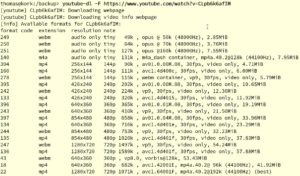 Abbildung 1: Mit dem Schalter <code>-F</code> listet die Software alle f&uuml;r diesen Film verf&uuml;gbaren Formate auf.