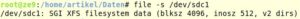 Abbildung 4: Da Ger&auml;te unter Linux sich wie eine Datei verhalten, liefert File zu diesen ebenfalls Informationen.