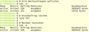Abbildung 3: Landet die hunderseitige Masterarbeit auf dem falschen Drucker, l&auml;sst sich der Auftrag auch aus dem Terminal heraus abbrechen.
