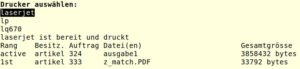Abbildung 6: Die Funktion <code>dru()</code> aus <a href="#artRef-l3">Listing&nbsp;3</a> f&uuml;hrt alle verf&uuml;gbaren Drucker auf und gibt dann die Druckwarteschlange des ausgew&auml;hlten Ger&auml;ts aus.