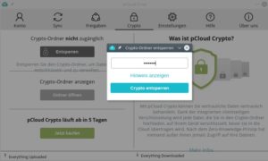 Abbildung 7: Die Crypto-Funktion sorgt daf&uuml;r, dass der Client Dateien, die er in die Cloud hochl&auml;dt, zuvor verschl&uuml;sselt.