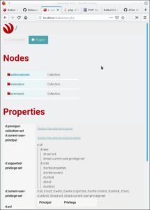 Abbildung 11: &Ouml;ffnen Sie die URLs der CalDAV-Ressourcen im Browser, zeigt die Software den Status des Servers an.