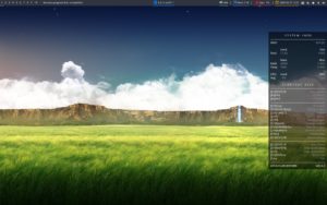 Abbildung 2: Der Desktop von Herbstluftwm pr&auml;sentiert sich nach dem Start recht karg. Die Conky-Seitenleiste informiert &uuml;ber die wichtigsten Tastenkombinationen des Fenstermanagers.
