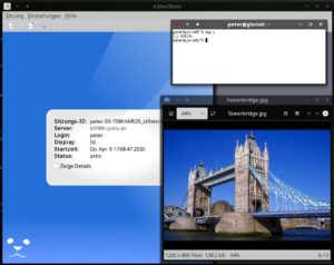 Abbildung 4: Die Fenster aller im per X2go vom Remote-Rechner &uuml;bertragenen Xterm-Fenster gestarteten Programme erscheinen auf dem Client-Bildschirm.