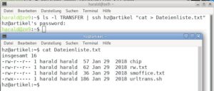 Abbildung 5: Die Kombination aus SSH und einem Kommando erm&ouml;glicht es, auf einfache Weise Log-Daten zu einem zentralen Host zu &uuml;bertragen.