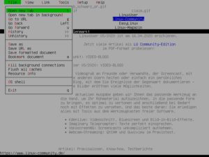 Abbildung 2: Finnix kommt mit dem textbasierten Browser Elinks, der zwar keine grafischen Elemente rendert, aber daf&uuml;r schnellen Zugriff auf Informationen aus dem Netz erlaubt.