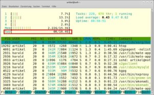 Abbildung 18: Auch Monitoring-Tools wie <code>htop</code> zeigen die Belegung des SWAP-Speichers an.