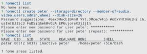 Abbildung 3: Mit dem Befehl <code>homectl create</code> erstellen Sie ein neues Home unter der Kontrolle von Systemd. Nach dem Durchlaufen des Befehls kontrollieren Sie mit <code>homectl list</code> den Erfolg.
