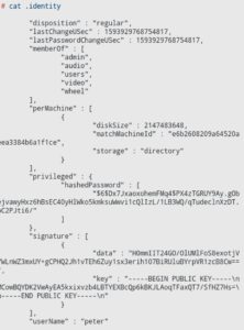 Abbildung 6: Die Datei <code>~/.identity</code> enth&auml;lt viele der Angaben, die auch <code>inspect</code> liefert, allerdings nur in maschinenlesbarer Form. Zus&auml;tzlich liegt dort ein Passwort-Hash.