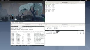 Abbildung 1: Mit den Optionen <code>--vo=gpu --hwdec=vaapi</code> gestartet, greift der Medienplayer MPV auf die spezialisierten Decoder-Chips der Grafikkarte zur&uuml;ck.