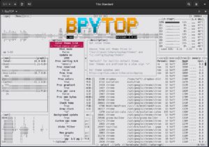 Abbildung 3: In den detaillierten Einstellungen von Bpytop haben Sie die Wahl zwischen zehn verschiedenen Themes sowie zahlreichen anderen Konfigurationsm&ouml;glichkeiten.