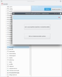 Abbildung 10: Beim Zurücksichern entscheiden Sie, ob Sie die Daten aus dem Backup am Ursprungsort oder an anderer Stelle wiederherstellen möchten.