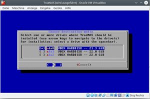 Abbildung 2: Der TrueNAS-Installer ist zwar textbasiert, aber einfach zu bedienen. Sie w&auml;hlen dort die Festplatte f&uuml;r das System aus; um die Speichermedien k&uuml;mmern Sie sich sp&auml;ter in der Webschnittstelle.