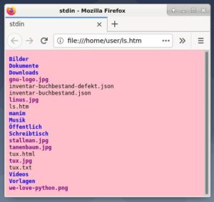 Abbildung 5: Terminalausgabe als Abbildung im Webbrowser.