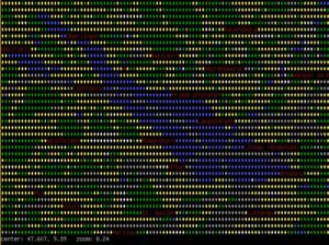 Abbildung 9: Der Bodensee im Terminal (virtuelle Linux-Konsole).