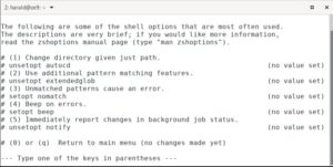 Abbildung 4: Weitere Einstellungen der Zsh.