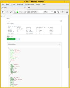 Abbildung 3: Die Demo-App zeigt am Beispiel von Route die ins JSON-Format umgewandelte Ausgabe.