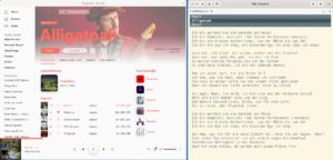 Abbildung 1: In der Standardeinstellung hängt sich Lyrics-in-terminal an die Wiedergabe des Spotify-Clients.