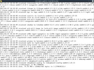 Abbildung 6: Der Befehl <code>distri update</code> aktualisiert das System. In unserem Beispiel dauerte das knapp 3,3&nbsp;Sekunden.